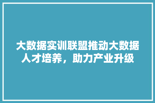 大数据实训联盟推动大数据人才培养，助力产业升级
