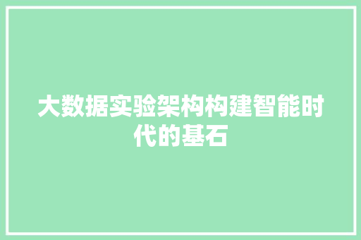 大数据实验架构构建智能时代的基石