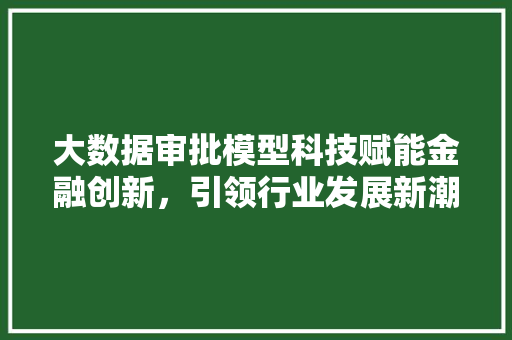 大数据审批模型科技赋能金融创新，引领行业发展新潮流