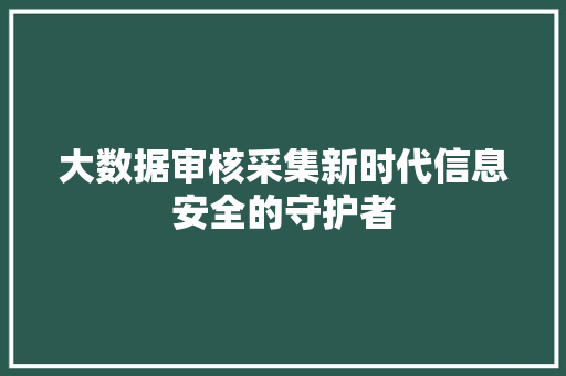 大数据审核采集新时代信息安全的守护者