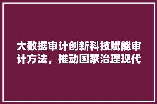 大数据审计创新科技赋能审计方法，推动国家治理现代化 网络技术