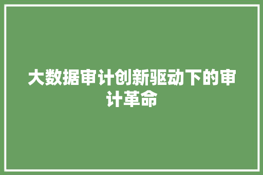 大数据审计创新驱动下的审计革命 大数据审计创新驱动下的审计革命