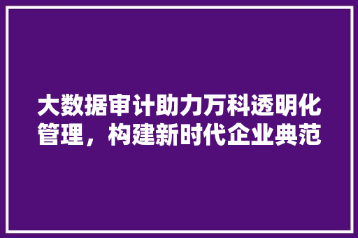 大数据审计助力万科透明化管理,构建新时代企业典范 大数据审计助力万科透明化管理,构建新时代企业典范