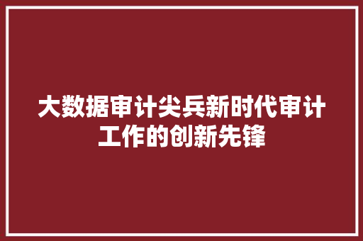 大数据审计尖兵新时代审计工作的创新先锋