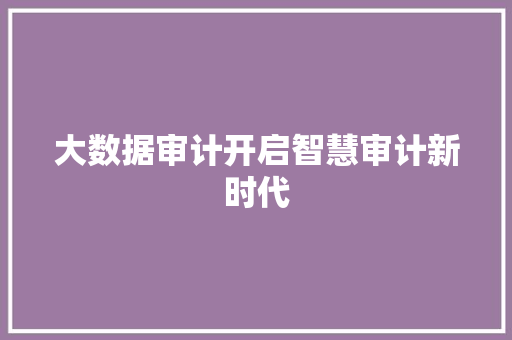 大数据审计开启智慧审计新时代