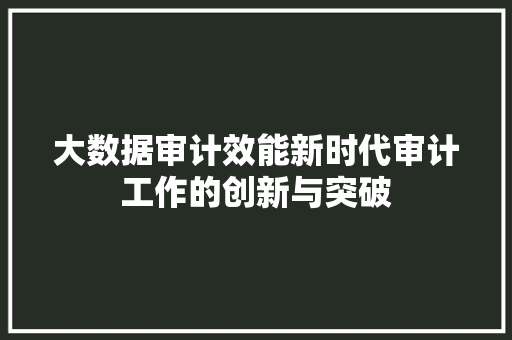 大数据审计效能新时代审计工作的创新与突破