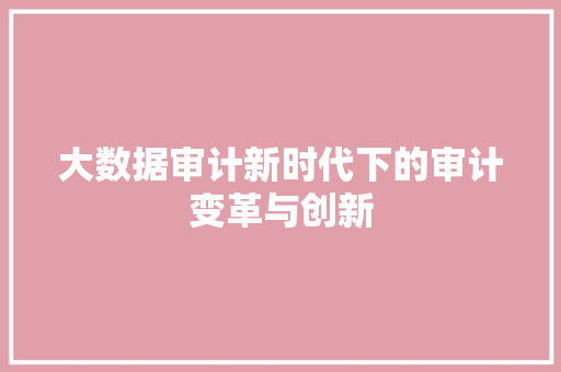 大数据审计新时代下的审计变革与创新