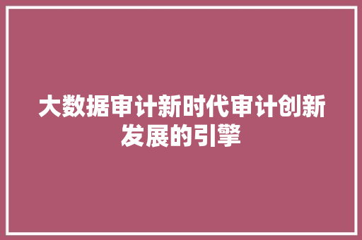 大数据审计新时代审计创新发展的引擎