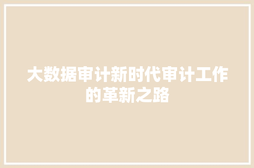 大数据审计新时代审计工作的革新之路