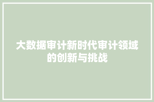 大数据审计新时代审计领域的创新与挑战