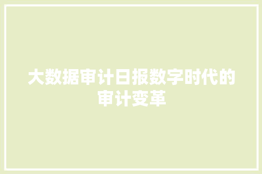 大数据审计日报数字时代的审计变革