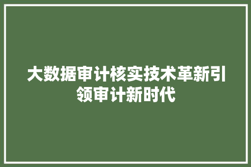 大数据审计核实技术革新引领审计新时代