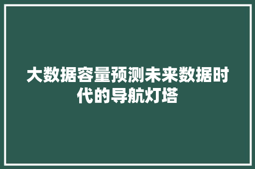 大数据容量预测未来数据时代的导航灯塔 编程语言