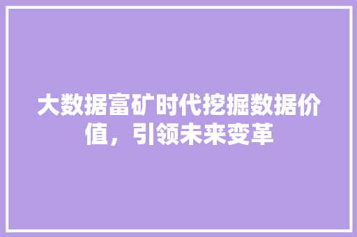 大数据富矿时代挖掘数据价值，引领未来变革