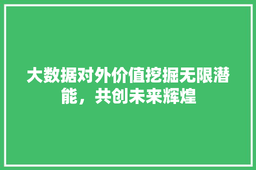 大数据对外价值挖掘无限潜能，共创未来辉煌