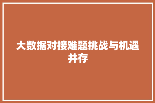大数据对接难题挑战与机遇并存