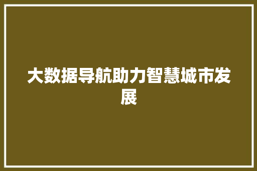 大数据导航助力智慧城市发展