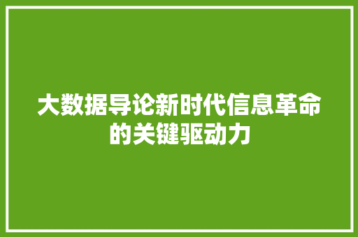 大数据导论新时代信息革命的关键驱动力 大数据导论新时代信息革命的关键驱动力