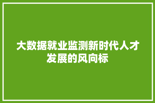 大数据就业监测新时代人才发展的风向标
