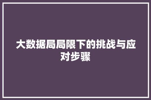 大数据局局限下的挑战与应对步骤