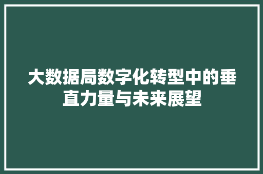 大数据局数字化转型中的垂直力量与未来展望 编程语言