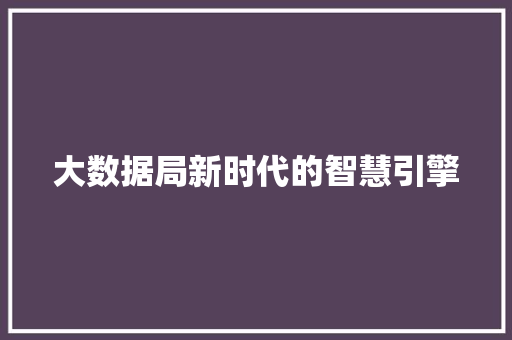 大数据局新时代的智慧引擎