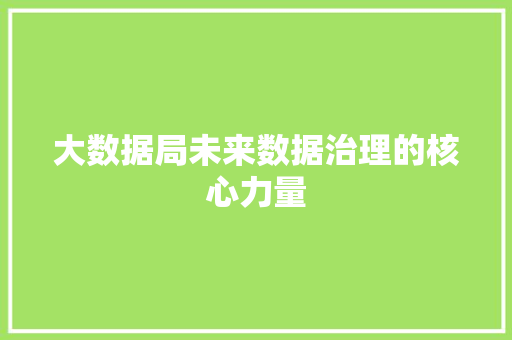 大数据局未来数据治理的核心力量 编程语言