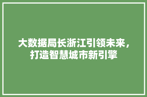 大数据局长浙江引领未来，打造智慧城市新引擎