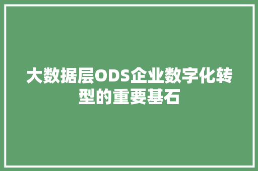 大数据层ODS企业数字化转型的重要基石 操作系统