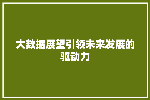 大数据展望引领未来发展的驱动力 大数据展望引领未来发展的驱动力
