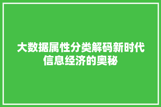 大数据属性分类解码新时代信息经济的奥秘