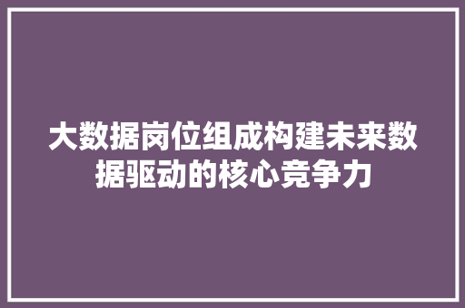 大数据岗位组成构建未来数据驱动的核心竞争力