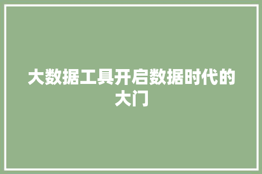 大数据工具开启数据时代的大门