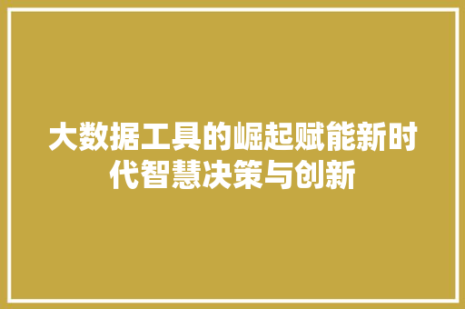 大数据工具的崛起赋能新时代智慧决策与创新 网络技术