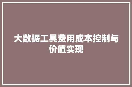 大数据工具费用成本控制与价值实现
