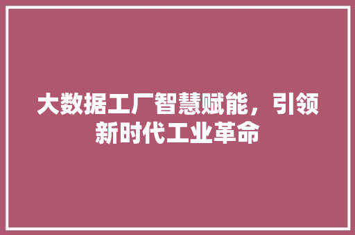 大数据工厂智慧赋能，引领新时代工业革命