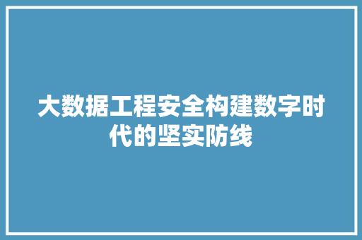 大数据工程安全构建数字时代的坚实防线