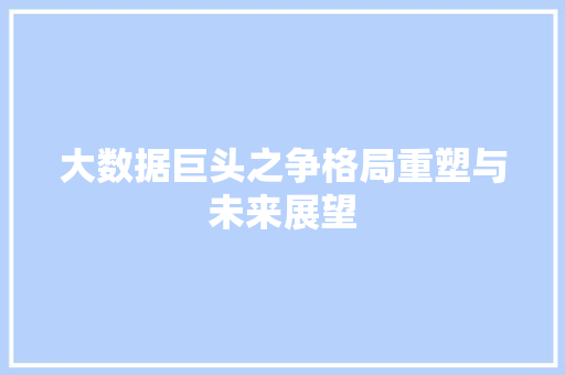 大数据巨头之争格局重塑与未来展望
