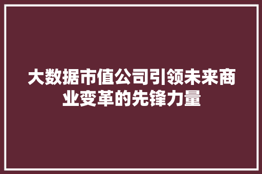 大数据市值公司引领未来商业变革的先锋力量