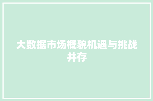 大数据市场概貌机遇与挑战并存 编程语言