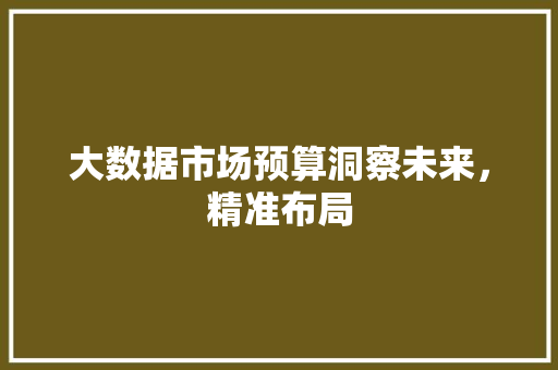 大数据市场预算洞察未来，精准布局 操作系统