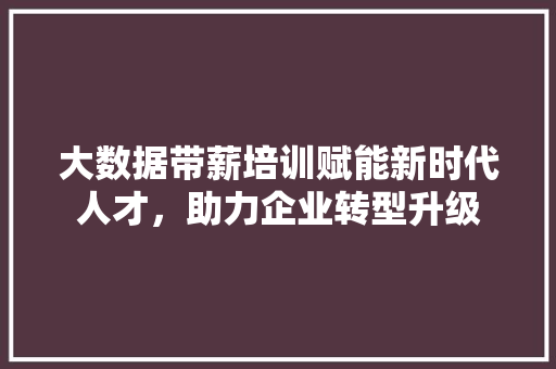 大数据带薪培训赋能新时代人才,助力企业转型升级 大数据带薪培训赋能新时代人才,助力企业转型升级