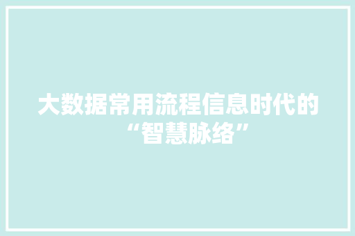 大数据常用流程信息时代的“智慧脉络”