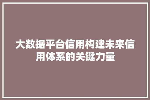 大数据平台信用构建未来信用体系的关键力量