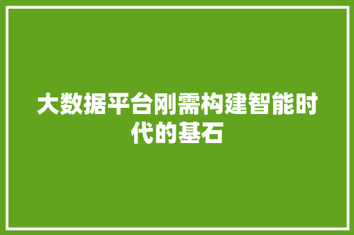 大数据平台刚需构建智能时代的基石