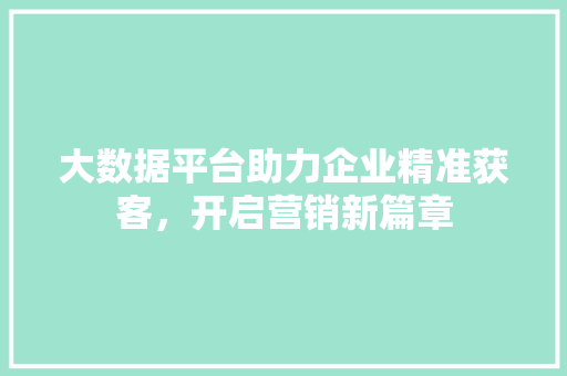 大数据平台助力企业精准获客，开启营销新篇章