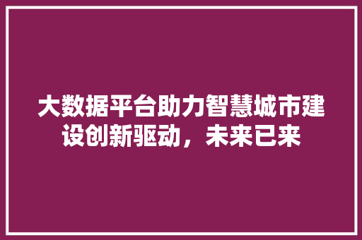 大数据平台助力智慧城市建设创新驱动，未来已来