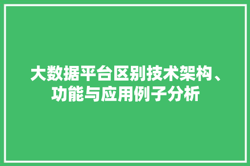 大数据平台区别技术架构、功能与应用例子分析