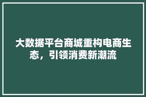 大数据平台商城重构电商生态，引领消费新潮流