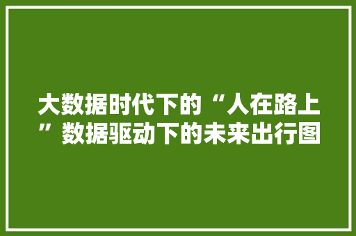 大数据时代下的“人在路上”数据驱动下的未来出行图景